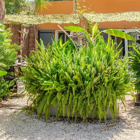 Location Studio - Moorea - Giens / Apartment *